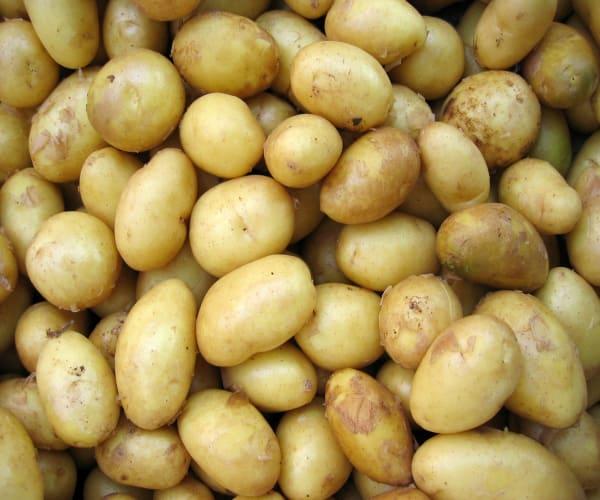 Papas del frambollán